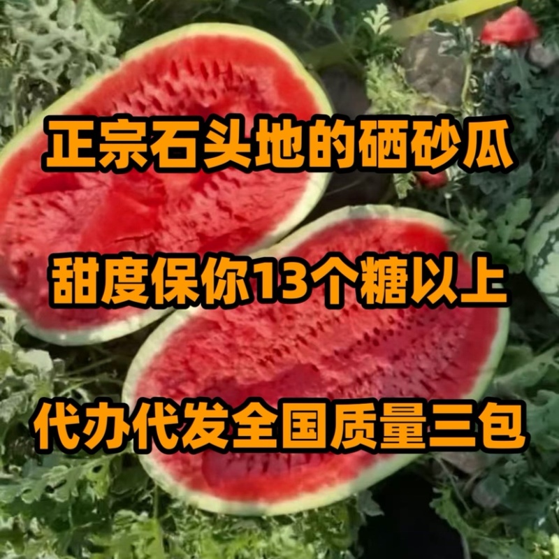 正宗宁夏石头地硒砂瓜，甜度保13+，质量三包，代办代发