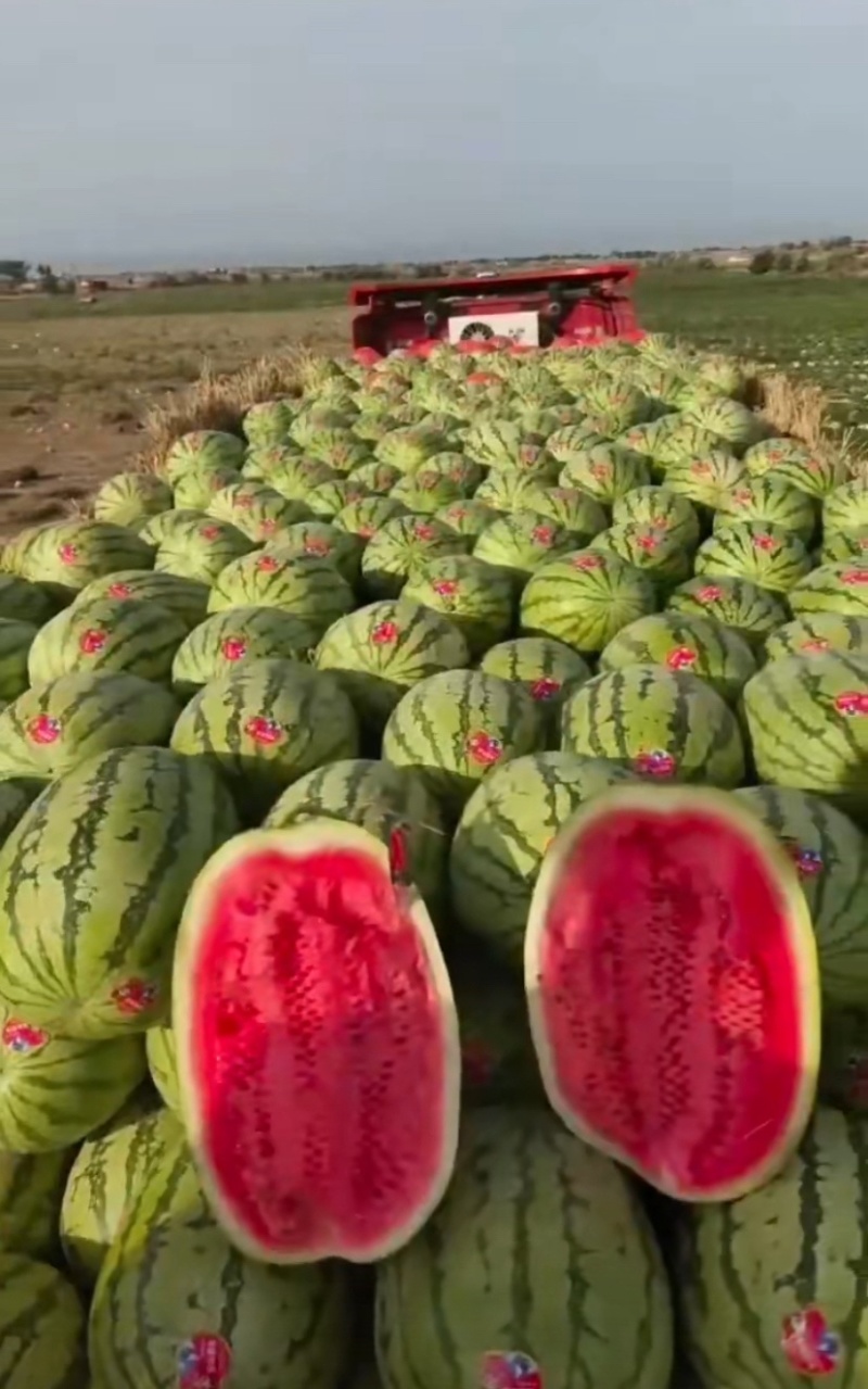 正宗宁夏石头地硒砂瓜，甜度保13+，质量三包，代办代发