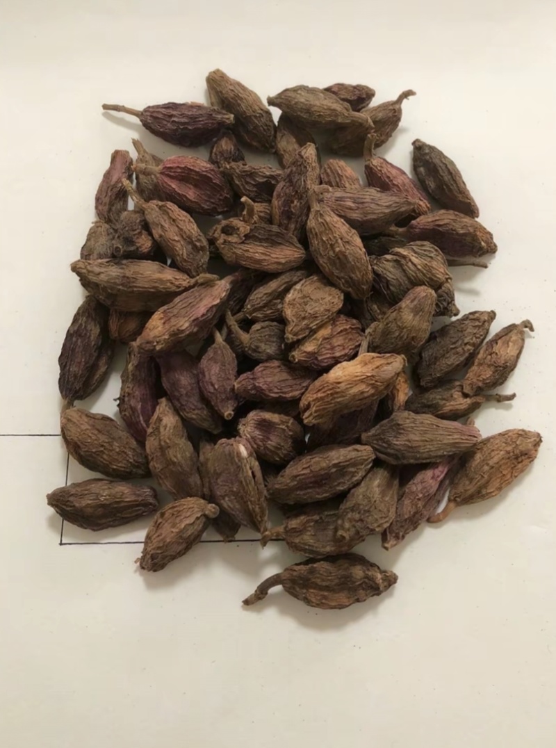 洋合果（新品种草果）