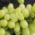 【正选】新疆无核白葡萄净重2斤新鲜应季水果整箱包邮