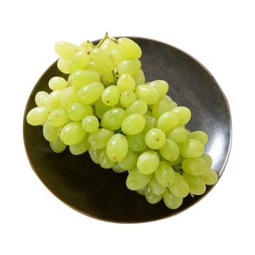 【正选】新疆无核白葡萄净重2斤新鲜应季水果整箱包邮