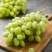 【正选】新疆无核白葡萄净重2斤新鲜应季水果整箱包邮