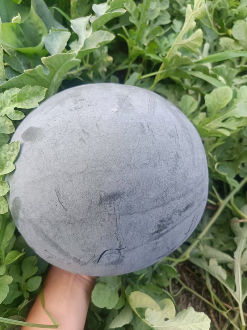 河南墨童西瓜黑无籽西瓜，产地直发一手货源视频看货