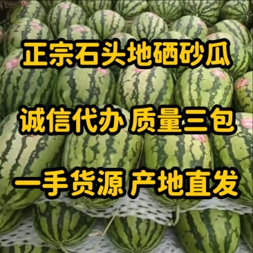 硒砂瓜大量供应，掉价了，价格合理，适合各大市场，质量三包