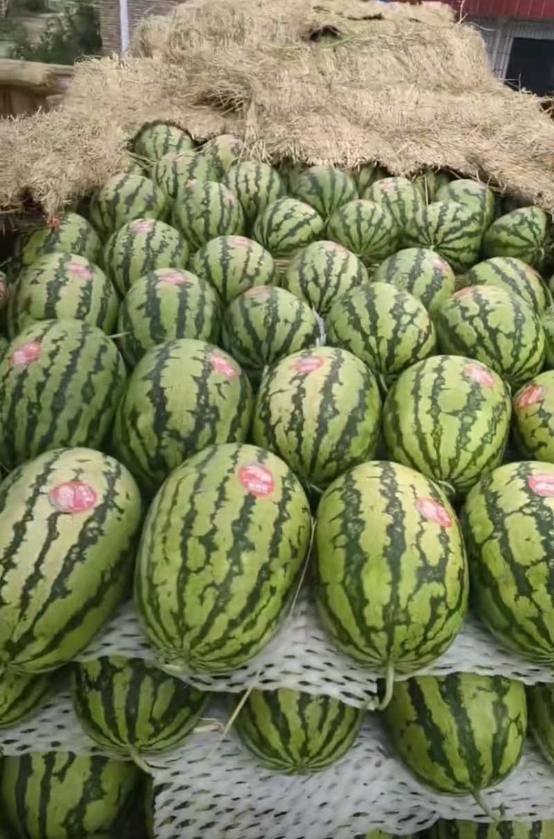 硒砂瓜大量供应，掉价了，价格合理，适合各大市场，质量三包