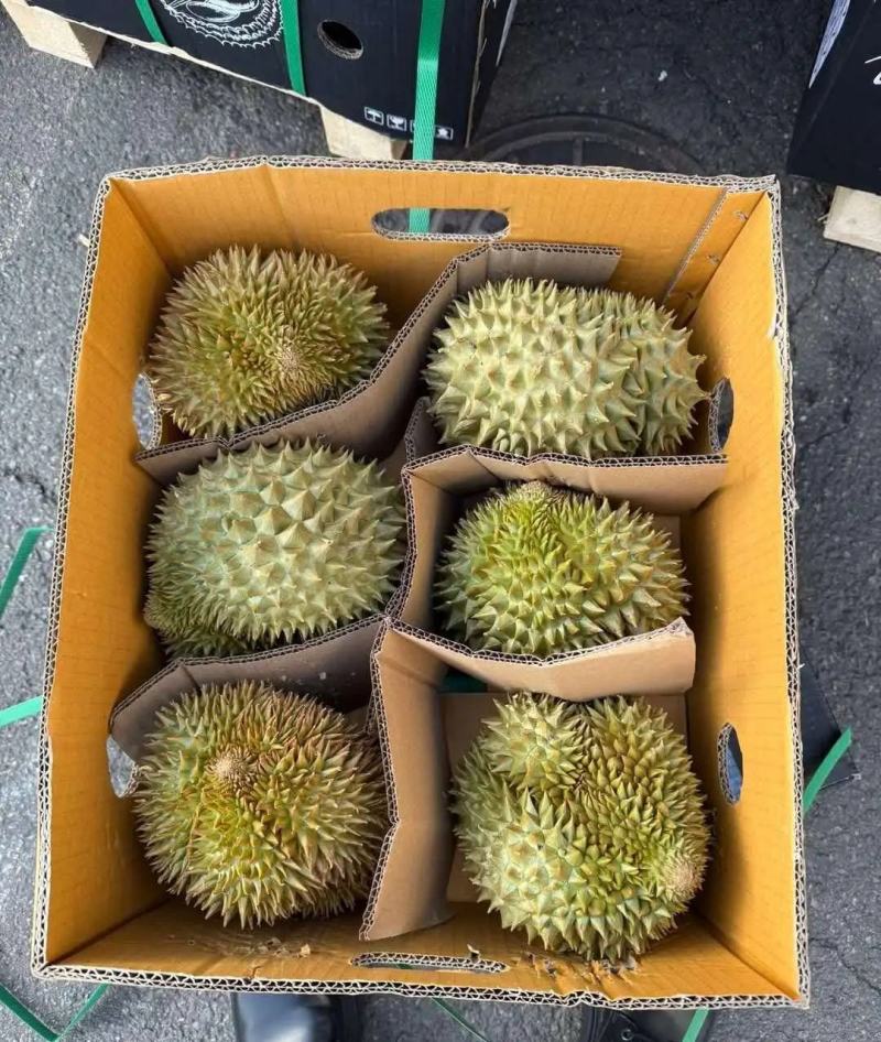 金枕榴莲一手批发价格