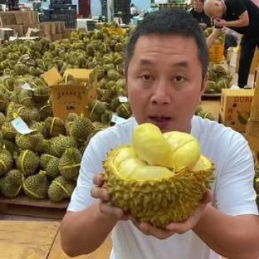 金枕榴莲一手批发价格