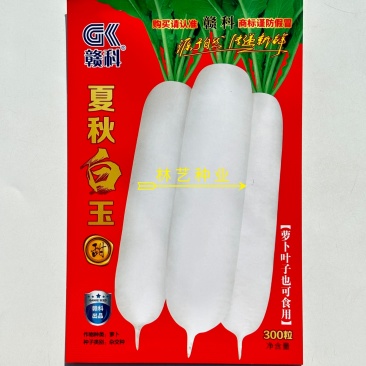 赣科夏秋白玉白萝卜种子白皮白肉抽苔晚不易空心夏秋播种蔬菜