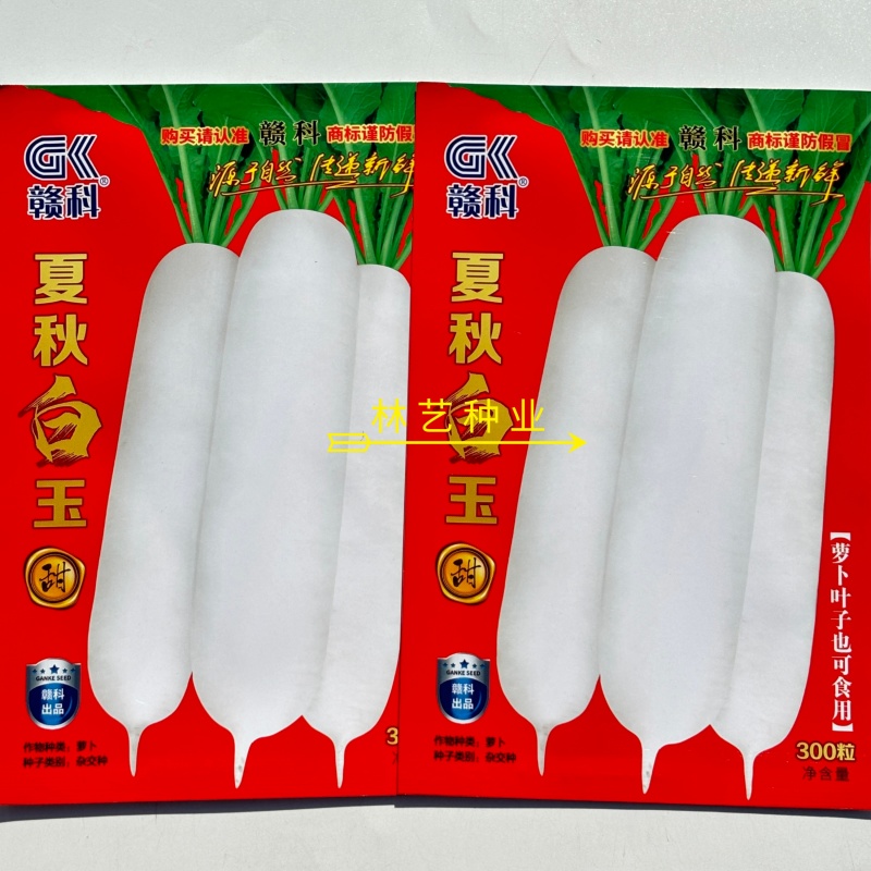 赣科夏秋白玉白萝卜种子白皮白肉抽苔晚不易空心夏秋播种蔬菜