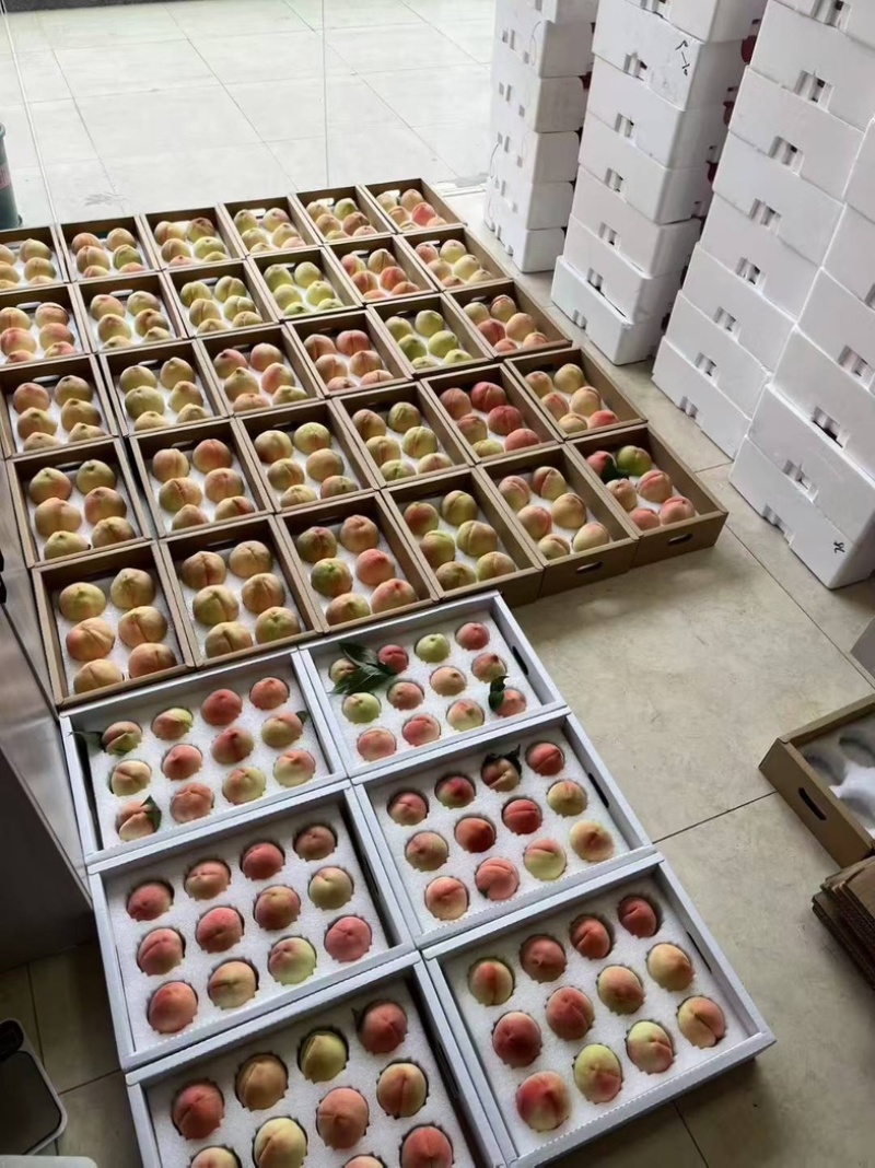 阳山水蜜桃，一件代发，社区团购，市场批发，不用担心售后