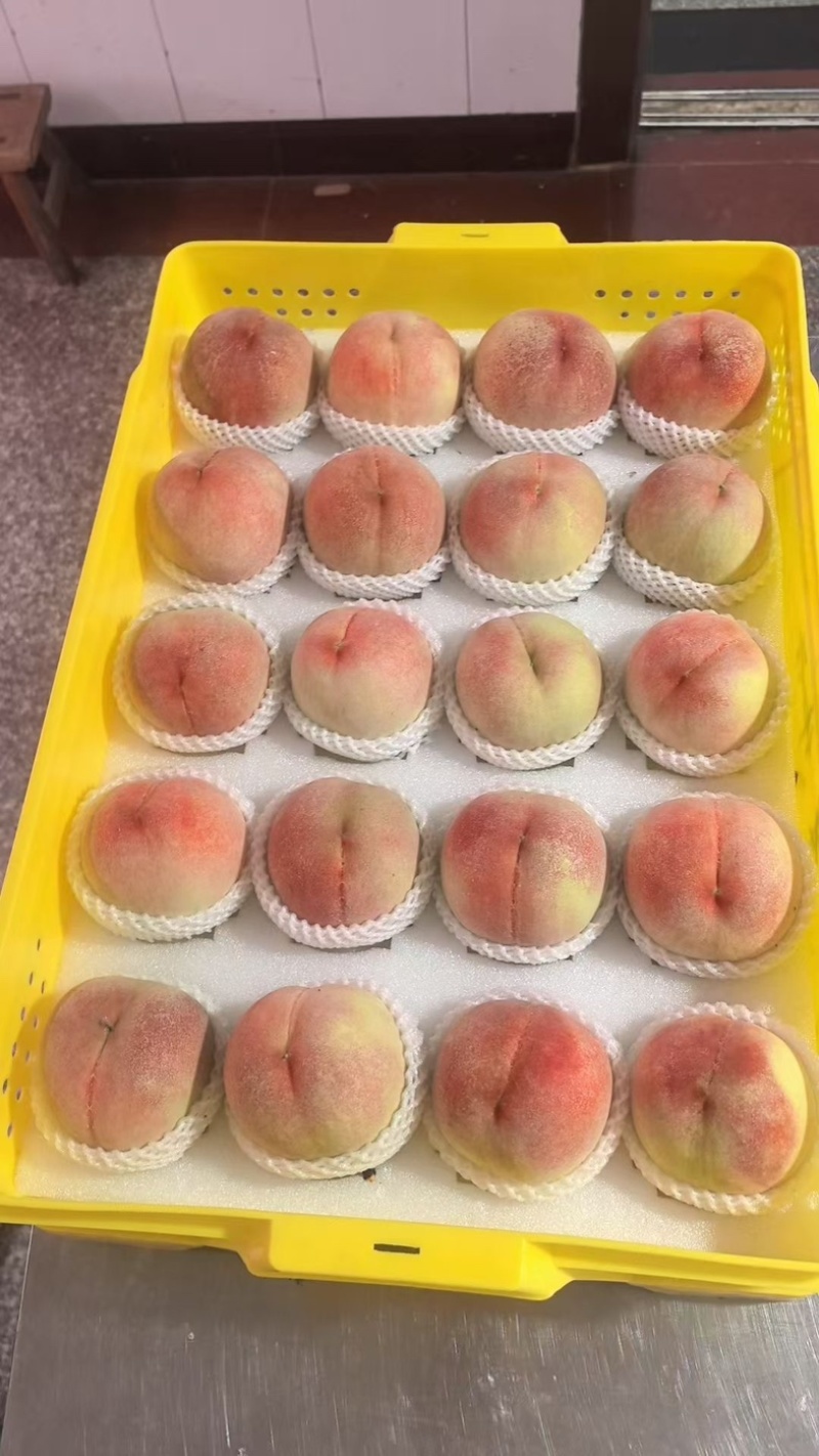 阳山水蜜桃，一件代发，社区团购，市场批发，不用担心售后