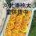 河北蟠桃