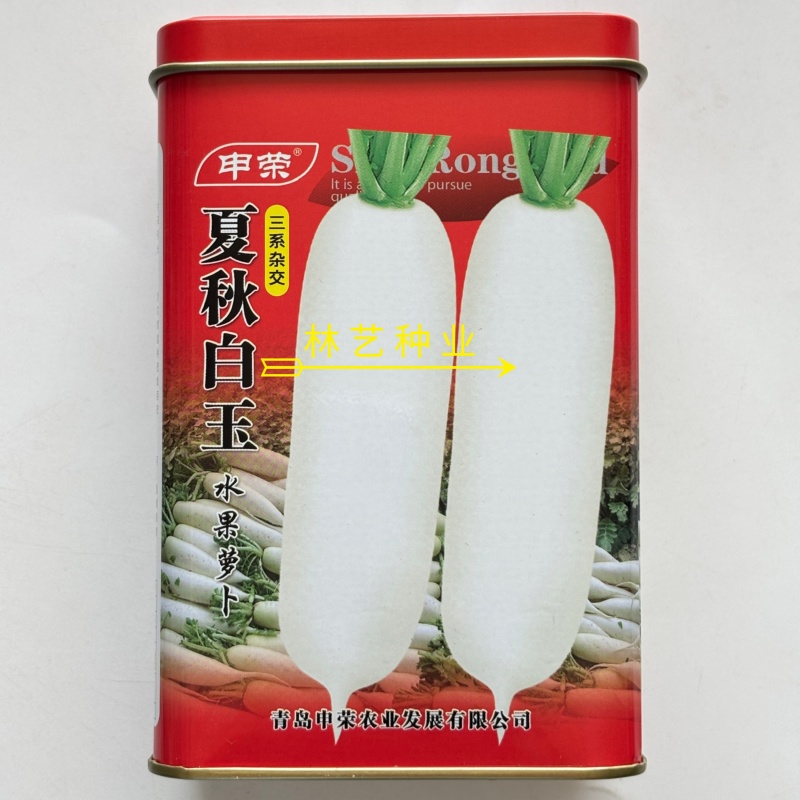 夏秋白玉白萝卜种子早熟耐热水分足抽苔晚不易空心肉质细嫩