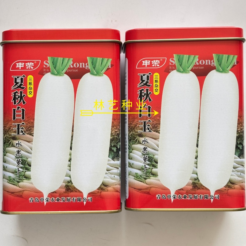 夏秋白玉白萝卜种子早熟耐热水分足抽苔晚不易空心肉质细嫩