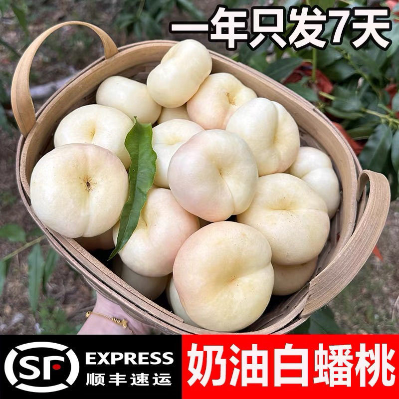 【顺丰爆甜】山东蒙阴奶油蟠桃新鲜水果当季整箱白蟠桃桃子扁油桃