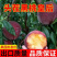 山东蒙阴黑桃皇后桃子水蜜桃当季现新鲜水果正宗非血桃毛
