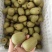 四川蒲江红心猕猴桃源头直供市场商超各大渠道