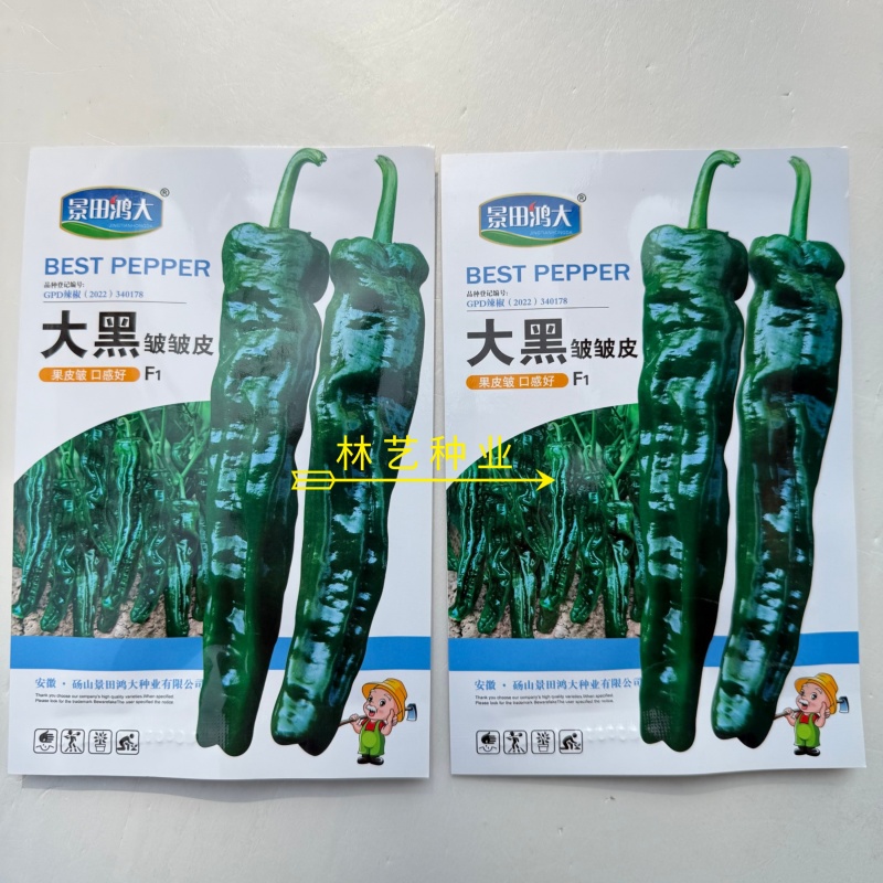 大黑皱皱皮辣椒种子辣味香浓皮薄质脆结果力强高产抗商品性佳