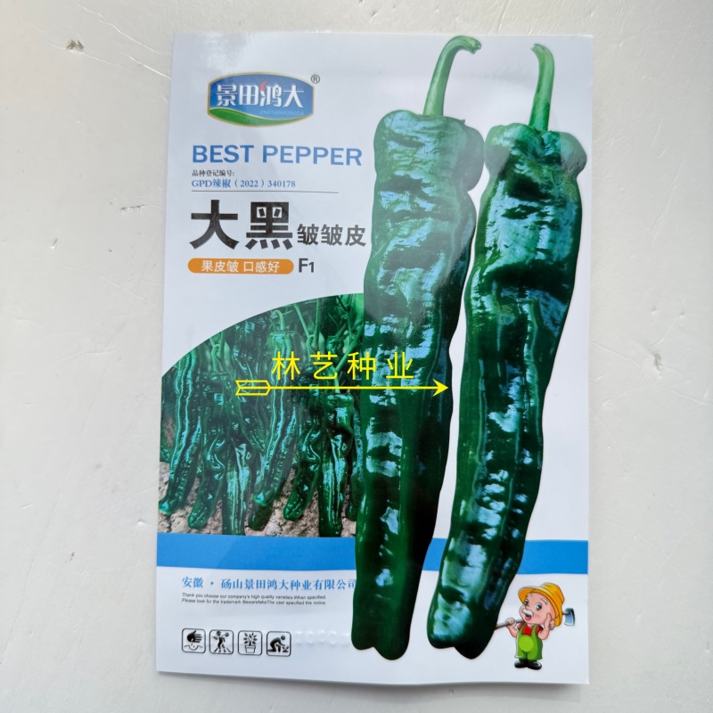 大黑皱皱皮辣椒种子辣味香浓皮薄质脆结果力强高产抗商品性佳
