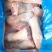 猪蹄国内外猪蹄量大从优质量过检冷链直达