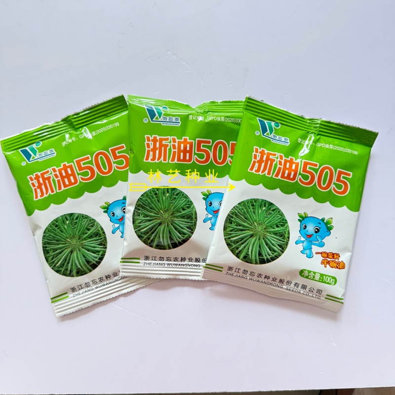 浙油505油菜种子高产杂交抗病耐寒青花菜籽榨油食用油菜种