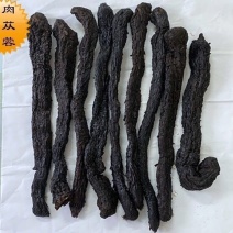 肉从蓉规格齐全软质肉苁蓉个子荣从蓉片规格齐全支持一件代发