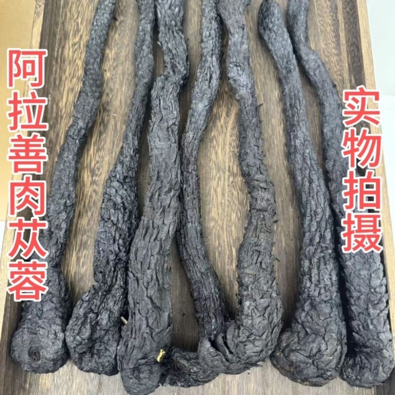 肉从蓉规格齐全软质肉苁蓉个子荣从蓉片规格齐全支持一件代发
