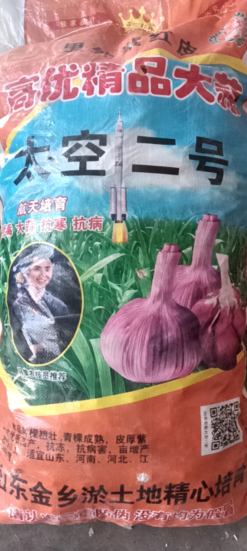 优质太空蒜种《打电话请说在一亩田上面看到的》