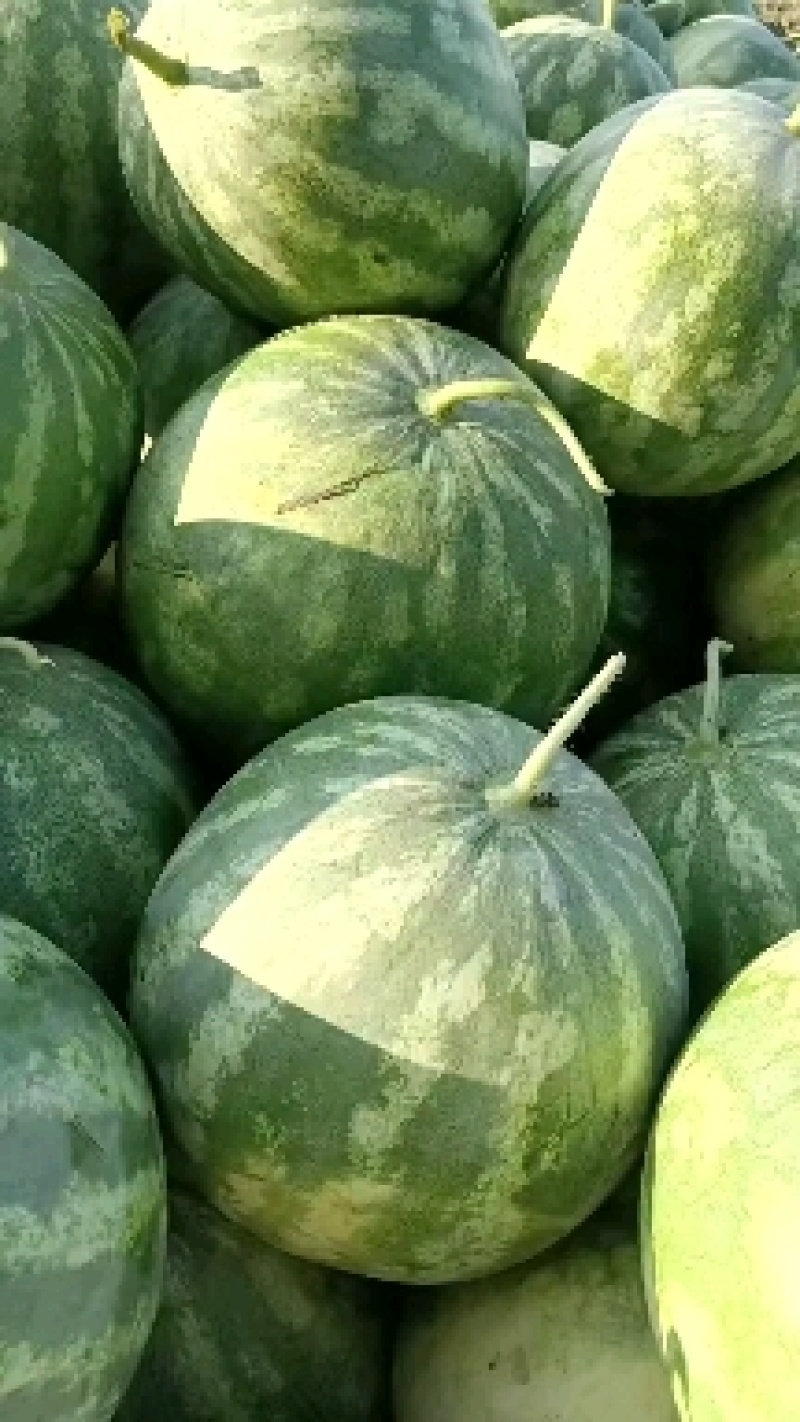 花无籽大量供货，有需要的老板可以联系！质量保证！