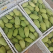 芒果加工厂货
