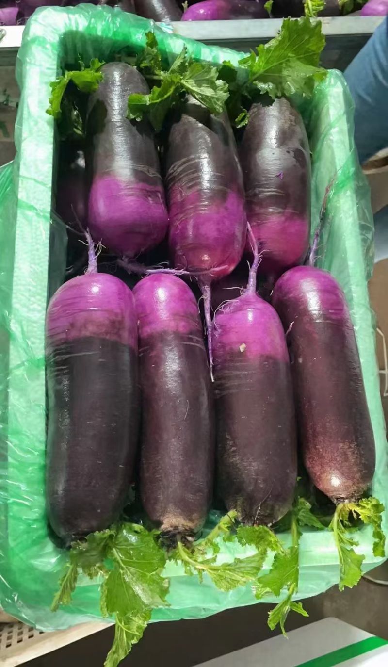 山东潍坊水果萝卜星田02冰糖芯凤梨冰激凌萝卜货源充足