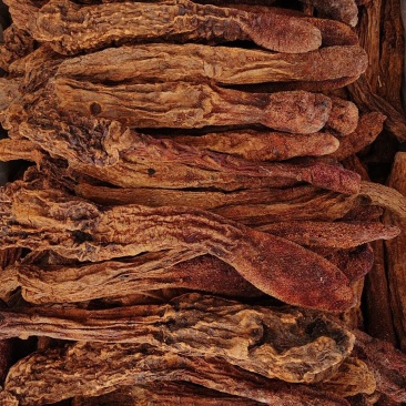 锁阳，中药材锁阳，不老草