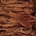 锁阳，中药材锁阳，不老草