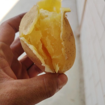 希森土豆大量有货基地直供可视频看货欢迎询价