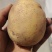希森土豆大量有货基地直供可视频看货欢迎询价