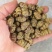 品味铁皮石斛枫斗，感受大自然的馈赠，独特的植物精华让你与