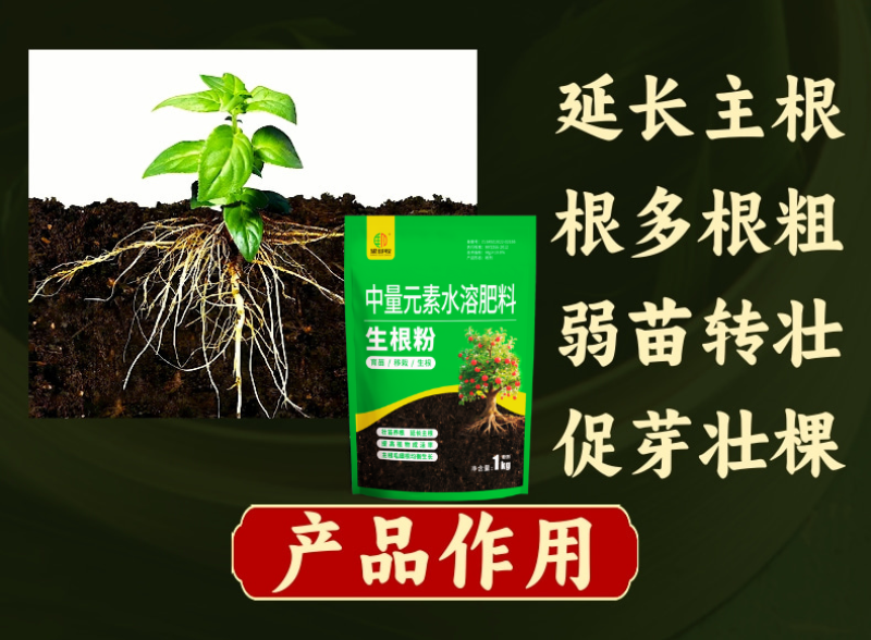 植物通用生根粉移栽扦插小苗生根强健根系冲施滴灌生根剂