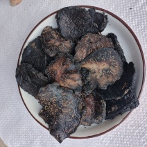 新疆肉苁蓉油脂大片，泡水泡茶泡酒的优选当天下单当天发货。