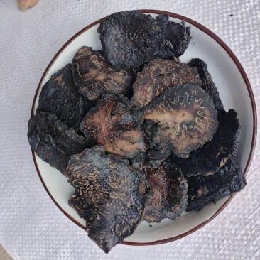 新疆肉苁蓉油脂大片，泡水泡茶泡酒的优选当天下单当天发货。