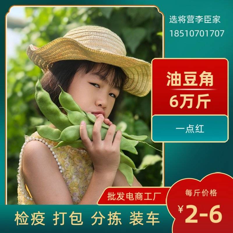 河北油豆角一点红6万斤【产地直供】承德丰宁