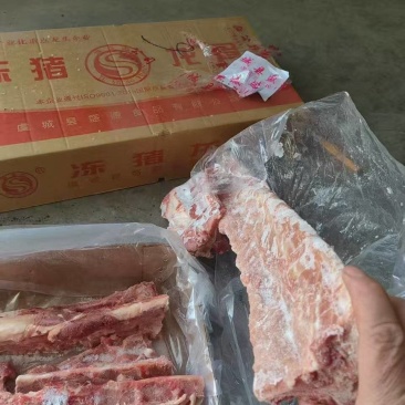 母猪龙骨