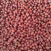 红小豆没有农药化肥除草剂。价格就这样