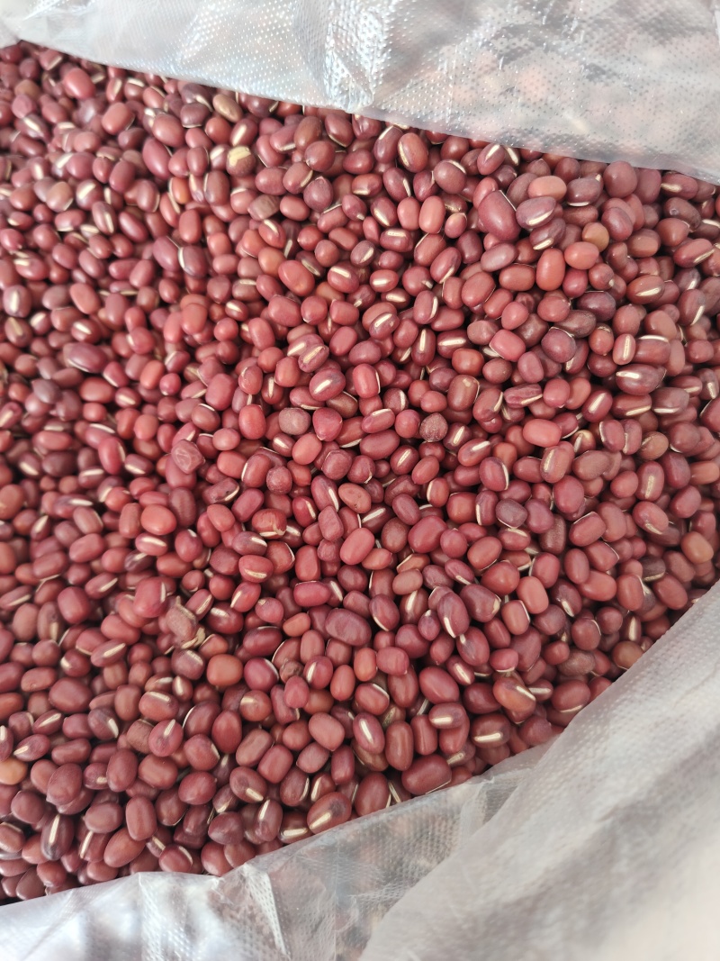 红小豆没有农药化肥除草剂。价格就这样