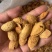 新货巴旦木价格实惠源头工厂工厂直发鲜香酥脆