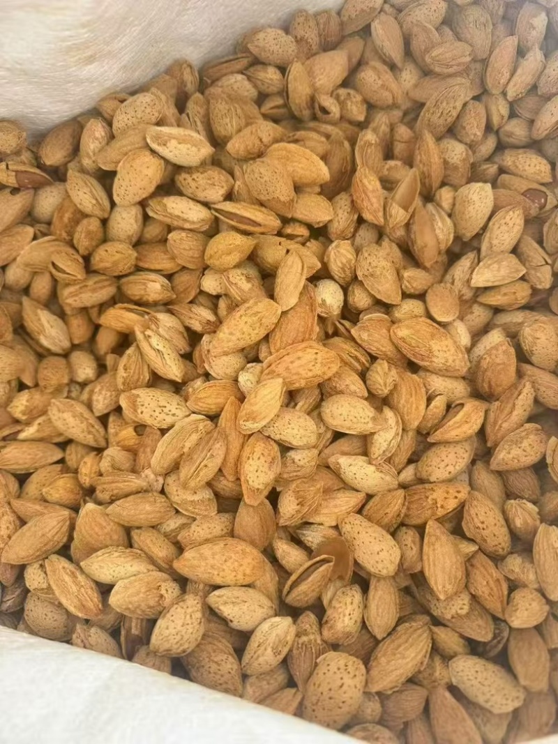 新货巴旦木价格实惠源头工厂工厂直发鲜香酥脆