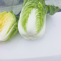 高原夏菜