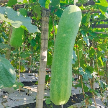 精品现货量大从优