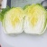 高原夏菜