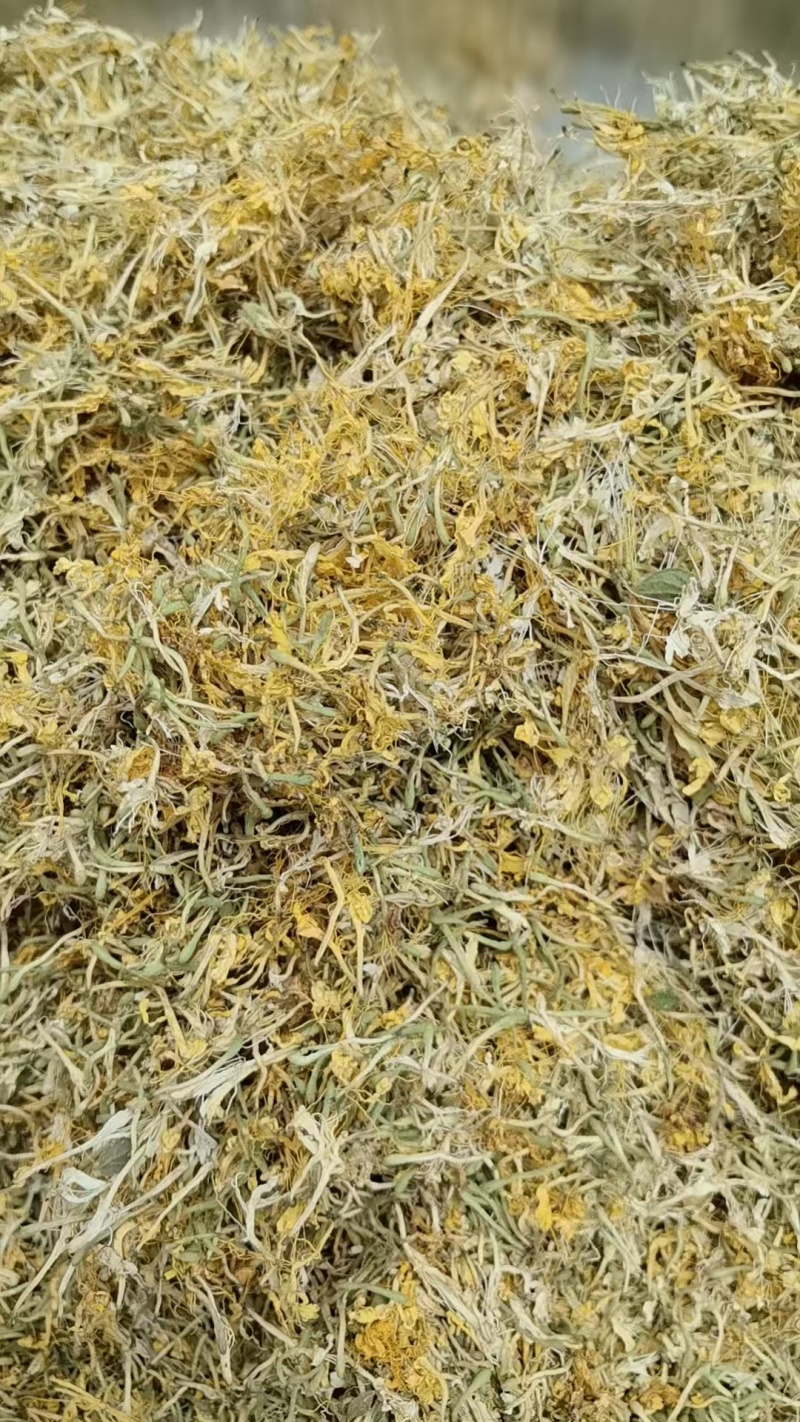 贵州金银花精品开花，货源充足，香味浓郁，欢迎新老客户进店