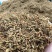 贵州金银花精品开花，货源充足，香味浓郁，欢迎新老客户进店
